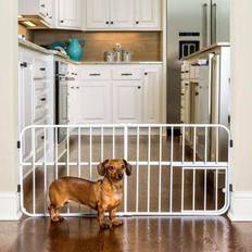 Pet gate with cat door Carlson Lil Tuffy Expandable Gate