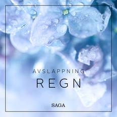 Regn Avslappning - Regn (Hörbuch, MP3, 2019)