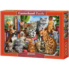 Jigsaw Puzzles Castorland House of Cats 2000 Pieces