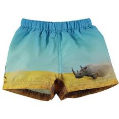 Babys Badehosen Molo Newton - Rhino (8S18P306 5332)