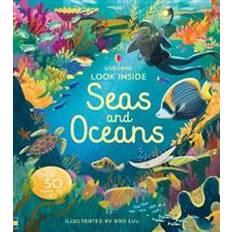 Look Inside Seas and Oceans (Board Book, 2019)