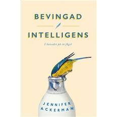 Bevingad intelligens: I huvudet på en fågel (Häftad)
