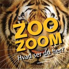 Bøger Hvad ser du her (Indbundet, 2019)