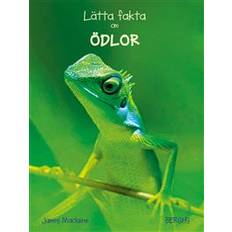 Lätta fakta om ödlor (Inbunden)