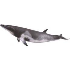 Collecta Minke Whale 88862