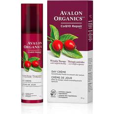 Wrinkle Therapy Day Cream 50g