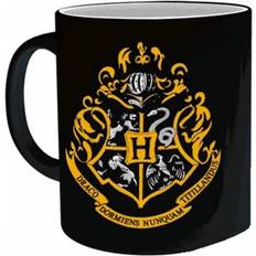 Harry Potter Taza 30cl