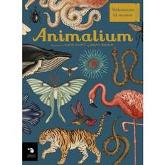 Animalium Animalium (Inbunden, 2019)