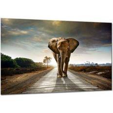 Fotografier Billeder Estancia Elephant Billede 100x75cm