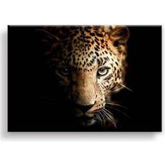 Fotografier Billeder Estancia Leopard Billede 100x75cm