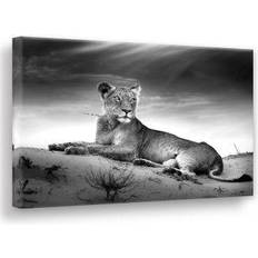 Estancia Tavlor Estancia Lioness Tavla 100x75cm