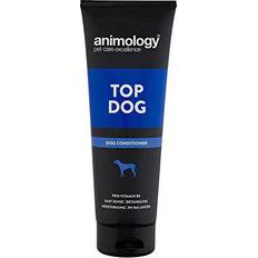 Top Dog Conditioner