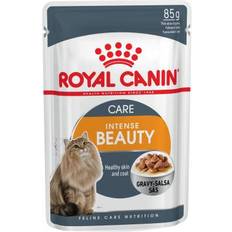 Royal Canin Gatto Animali domestici Royal Canin Intense Beauty in Gravy