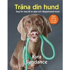 Djur & Natur - Svenska E-böcker Träna din hund: steg för steg till en glad och väluppfostrad hund (E-bok, 2019)