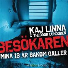 Biografier & Memoarer - Svenska Ljudböcker Besökaren: mina 13 år bakom galler (Ljudbok, CD)