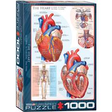 Eurographics The Heart 1000 Pieces