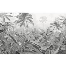 Behangen Komar Fotobehang Amazonia Black & White 400x250cm Grijs