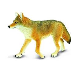 Safari Coyote 113089