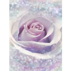 Photos Wallpapers Komar Delicate Rose (XXL2-020)