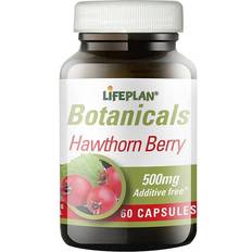 Lifeplan Hawthorn Berry 500mg 60 pcs