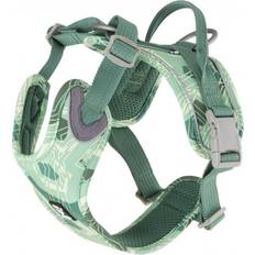 Weekend Warrior Harness