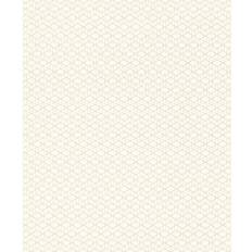 Rasch Cato (800944)