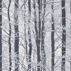 Frosted Wood (670200)