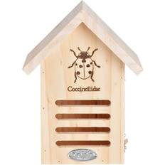 Ladybug House with Line Drawing