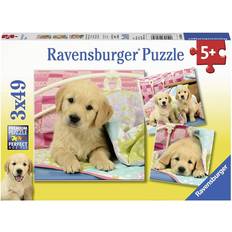 Ravensburger Beautiful Puppies 3x49 Pieces