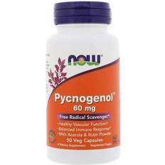 Now Foods Pycnogenol 60mg 50 Stk.