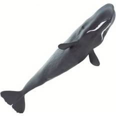 Sperm Whale 100209