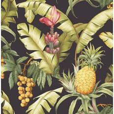 Intrade Maui Maui (TP80000)