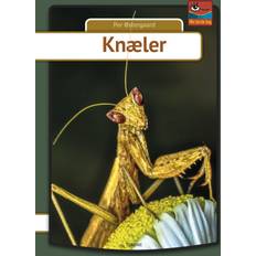 Knæler (Indbundet, 2019)