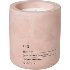 Béton Bougies Parfumées Blomus Fraga Fig Bougie Parfumée 290g