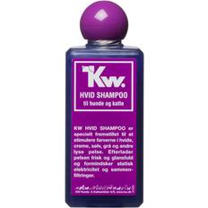 White Shampoo