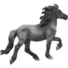 Icelandic Blue Dun Stallion