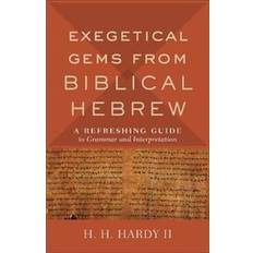 Dictionaries & Languages Books Exegetical Gems from Biblical Hebrew (Paperback, 2019)