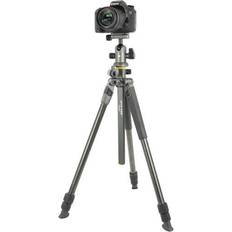 Vanguard Alta Pro 2+ 263CB 100 + BH-100