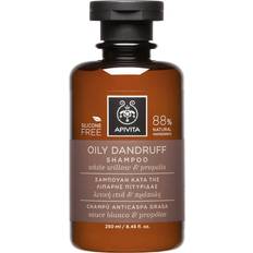 Holistic Hair Care Oily Dandruff Shampoo White Willow & Propolis