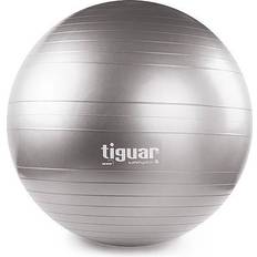 Gym Ball 65cm