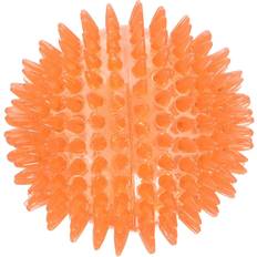 Rosewood Catch & Play Ball