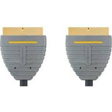 Scart-Scart