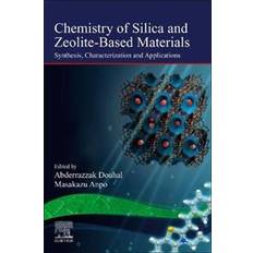 Zeolite Chemistry of Silica and Zeolite-Based Materials (Hæftet, 2019)