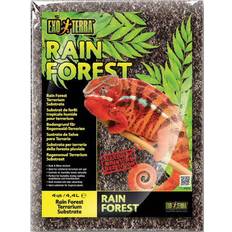 Exo Terra Rain Forest