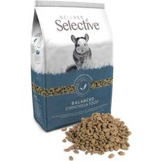 Science Selective Chinchilla