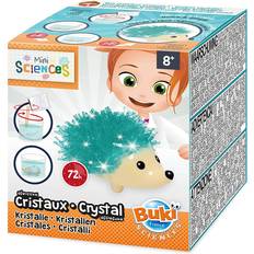 Animal Kits d'expérience scientifique Buki France Mini Sciences Crystal Hedgehod