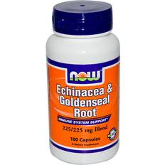 Gel Kosttillskott Now Foods Echinacea & Goldenseal Root 100 st