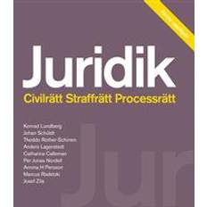 Juridik - civilrätt, straffrätt, processrätt (Häftad)