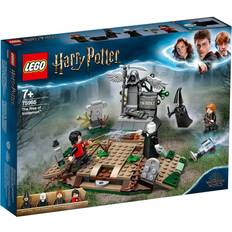 LEGO Harry Potter Ascension of Voldemort 75965