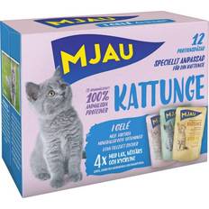 Multibox Kitten with Jelly Portion